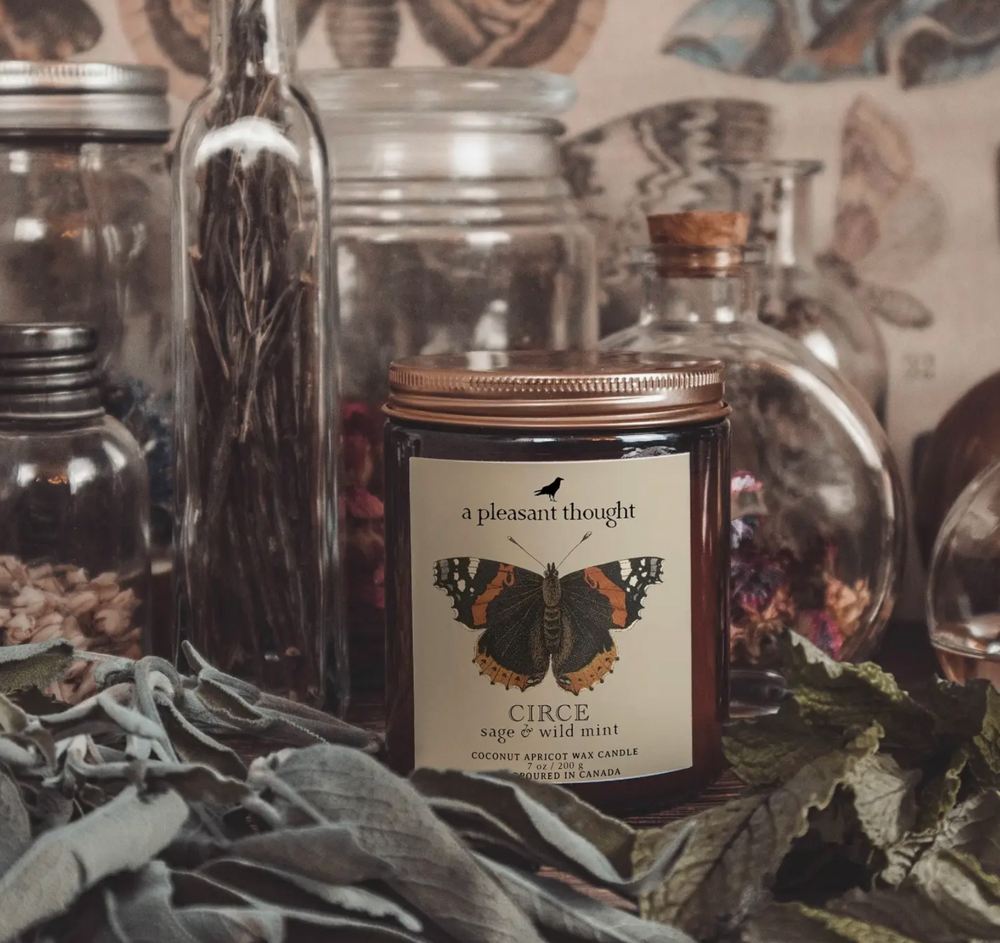 Circe | Sage & Wild Mint | Jar Candle