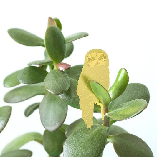 Plant Animal Decoration - Owl