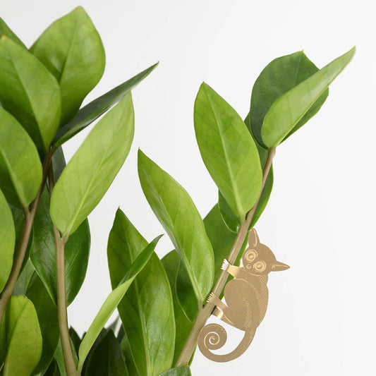 Plant Animal hanging decoration - Bush Baby