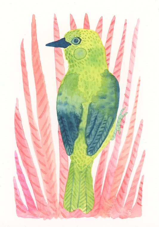 Green Bird